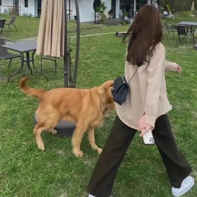 梦想的声音第三季 海报